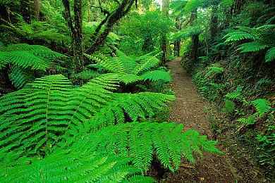 《方舟：生存飞升》仙境DLC现已上线，失落之地DLC内容爆料！